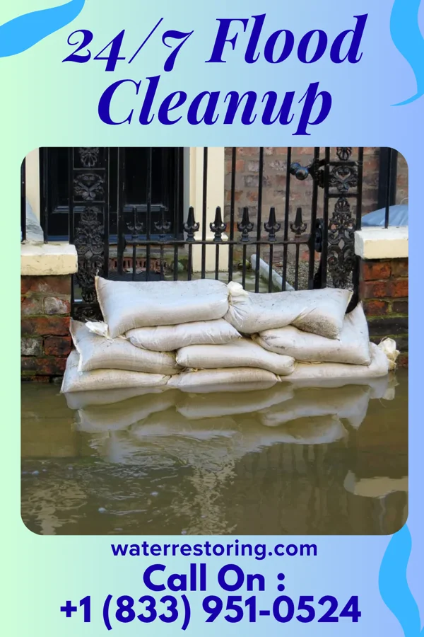 24/7 Flood Cleanup in Independence, LA