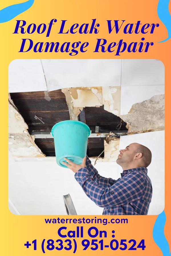 Roof Leak Water Damage Repair in Independence, LA