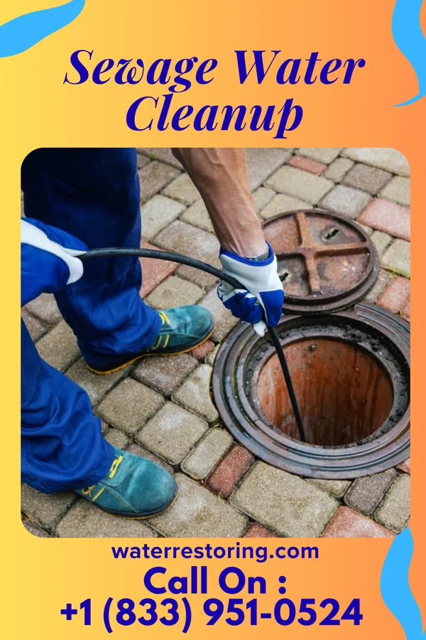 Sewage Water Cleanup in Independence, LA