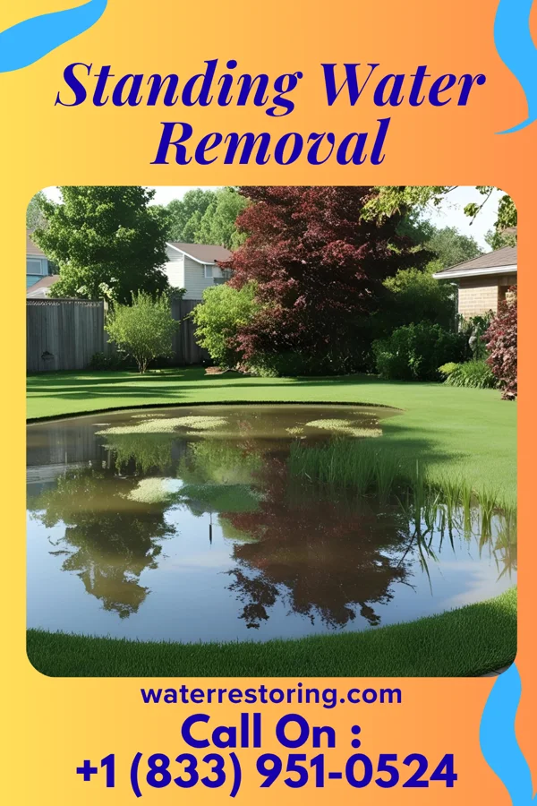 Standing Water Removal in Independence, LA